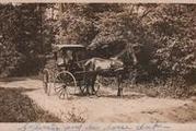 Horse, "courting" carriage, and driver, circa 1913.