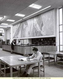 Snowden Library, Early Days