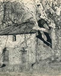 [Old Pennsylvania Stone House with Sycamore Tree]