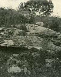 Tight fold in the limestone of the Buffalo Springs member of the Conococheague