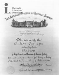 Certificate of election as patron of the American Museum of Natural History, New York City, 13th February, 1911