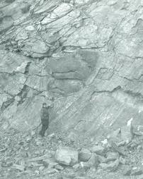 Zenolith in gneiss quarry