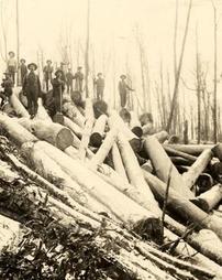 Lumber workers with freshly-cut logs
