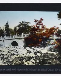 Japan. Kyoto. Lotus pond and "Spectacle Bridge" at Nishi-Otani