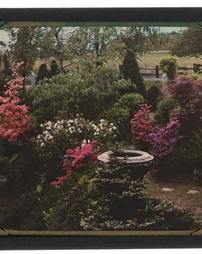 Llewellyn Garden