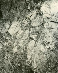 Fold in Conococheague limestone