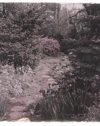 [Garden Path]
