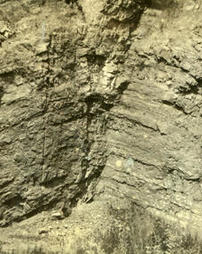 Anticline in Lerch Quarry