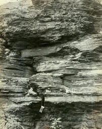 Buffalo sandstone