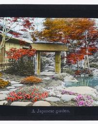 Japan. [Japanese garden]