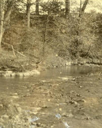 Waynesburg limestone in Muddy Creek