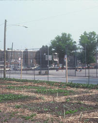 Philadelphia Green. Green the School Grounds. Smedley School