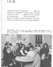 International Citizens Organization