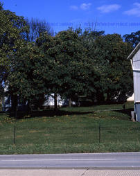 McDowell barn and trees, 1972.
