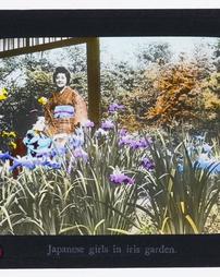 Japan. Japanese girls in iris garden