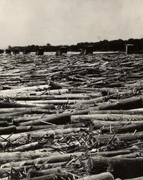 Logs Jammed on Susquehanna Boom