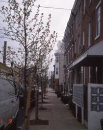 Philadelphia Green. New Kensington. Street Trees