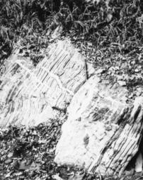 Martinsburg Formation, platy argillaceous limestones, allochthonous