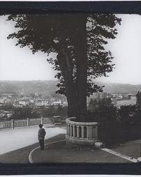 Spain. Unidentified. [View of a park, with tree and man]