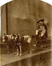 Boy in a dog cart