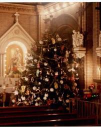 Christmas trees on display at Sts. Casimir and Emerich Church