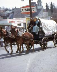 Mule Team Pulling Covered Wagon in Maple Festival Parade