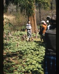PHS. Garden Visits. Tyler Arboretum. Wister, Gertrude S.