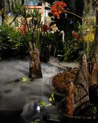 2008 Philadelphia Flower Show. Men's Garden Club Exhibit. Muddy Bogs