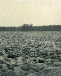 Boulder Field at Hickory Run State Park