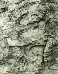 Tight folds in Buffalo Springs member of Conococheague limestone