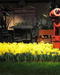 2013 Philadelphia Flower Show. Michael Petrie Exhibit