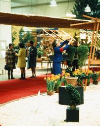 1970 Philadelphia Flower Show. Staging at the Flower Show