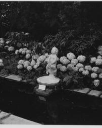 1950 Philadelphia Flower Show. Beatrice Fenton Fountain Figure Boy with Starfish