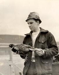 [Unidentified man holding] Pheasant from Loyalsock Game Farm