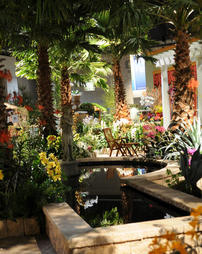 2009 Philadelphia Flower Show. Waldor Orchids Exhibit