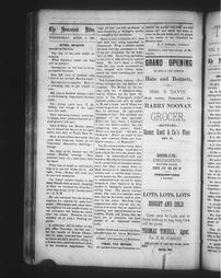 1884-04-09_The Homestead News.PDF-4