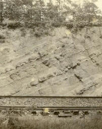 Catskill shale and sandstone (near base)