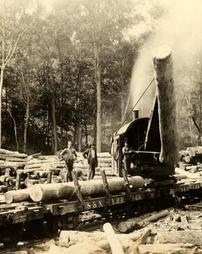 Lumber camp