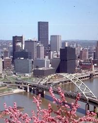 Pittsburgh City View