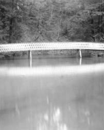 Wood bridge over creek