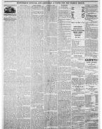 Journal American 1869-04-28