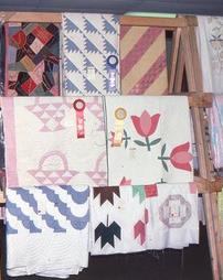 Fourteen Displayed Quilt Show Quilts