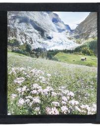 Switzerland. Unidentified. [Meadow and Flowers at Base of Mountain]