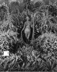 1934 Philadelphia Flower Show. Widener Acacia Exhibit with Sculpture