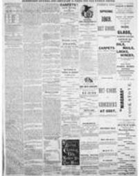 Journal American 1869-06-23