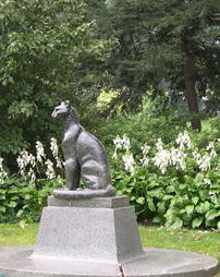 Azalea Garden. Puma. 2004