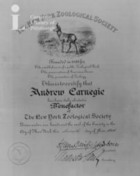 Certificate of benefactor membership in the New York Zoological Society, 11th June, 1914
