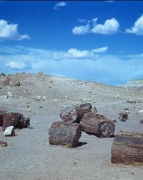 Road Trip. National Parks in the 1940s. Exhibition. 2016. Petrified Forest