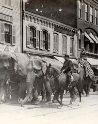 Forepaugh and Sells Circus Parade May 4, 1900
