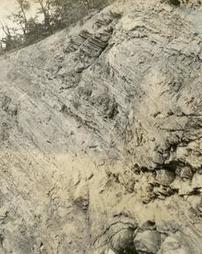 Bluff of Portage (?) shale